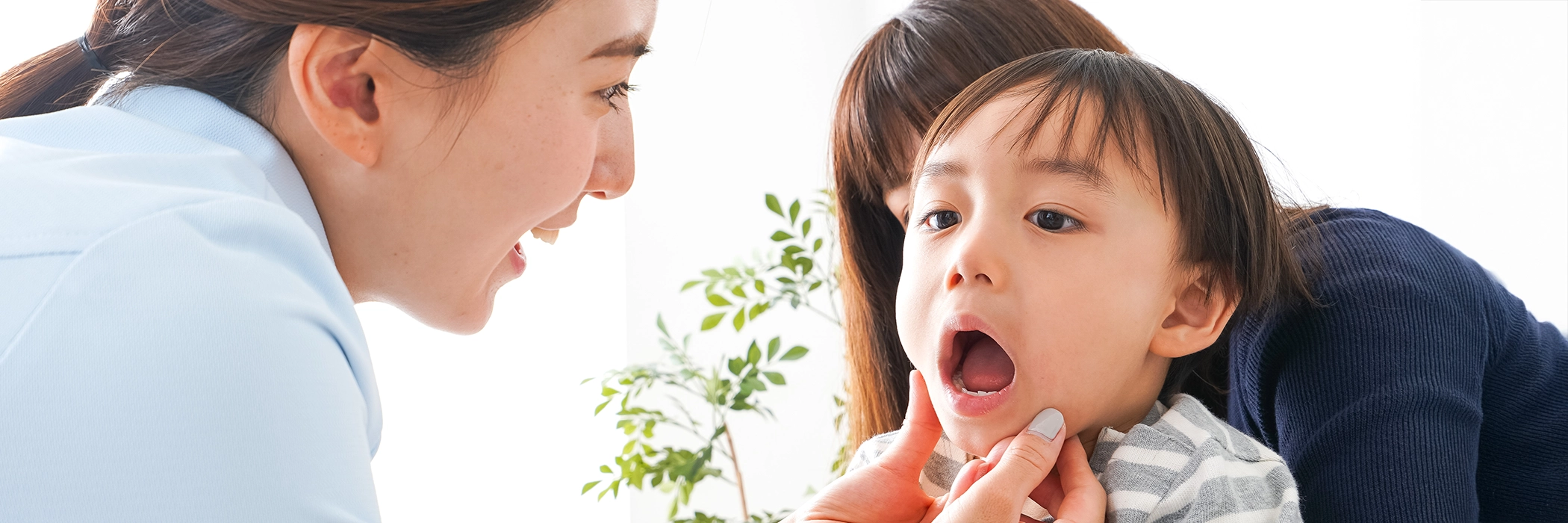 メインビジュアル