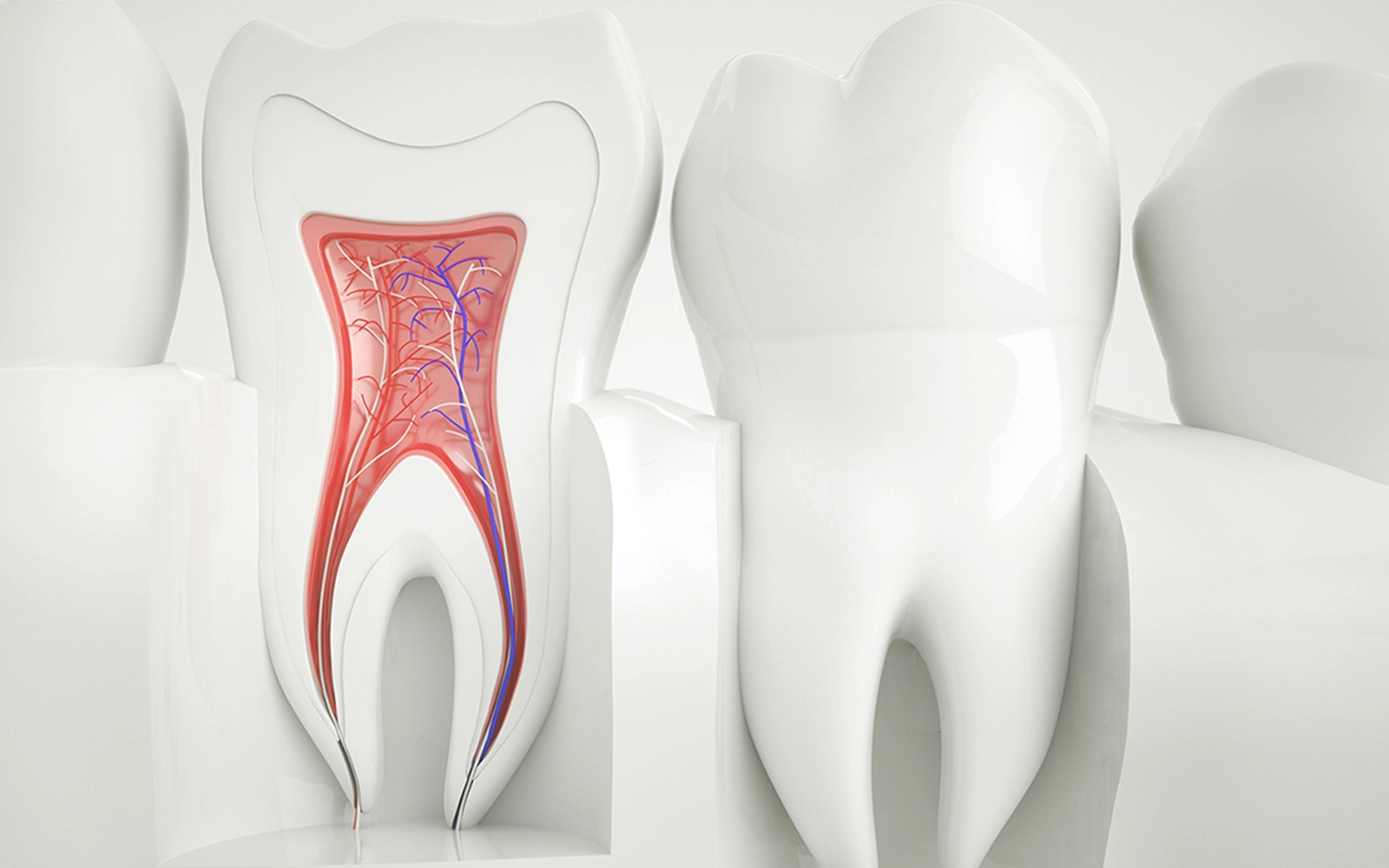 「根管治療」を見る重度の虫歯でも歯を残す治療