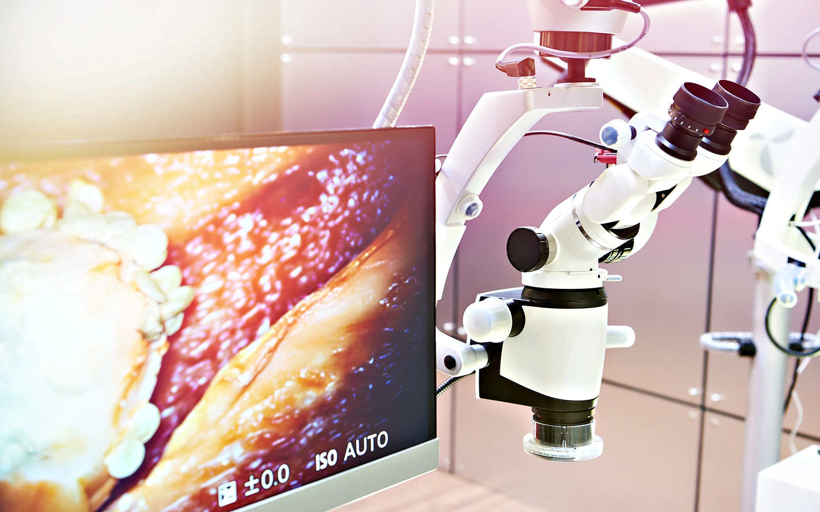 マイクロスコープが可能にする根管部の可視化