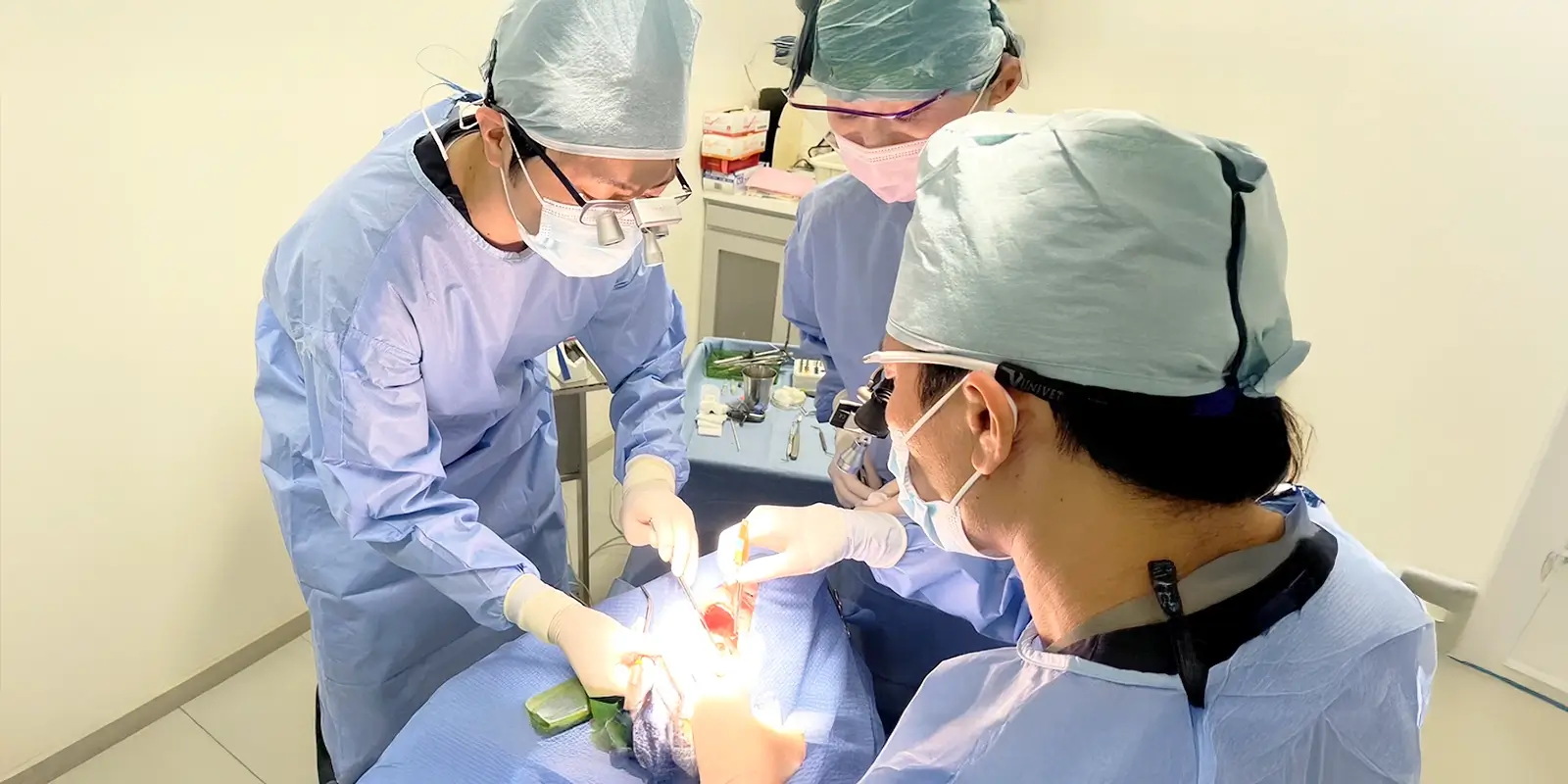 元大学病院口腔外科センター長が担当する、高度専門外科診療