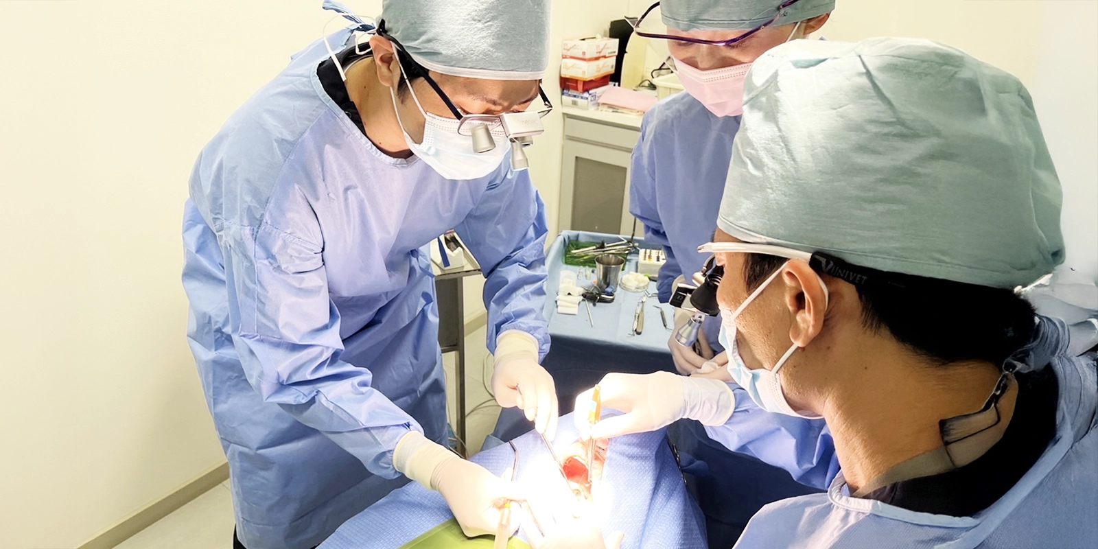 当院の口腔外科治療の特徴
