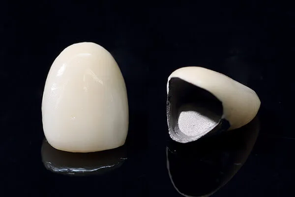 ハイブリッドセラミックス