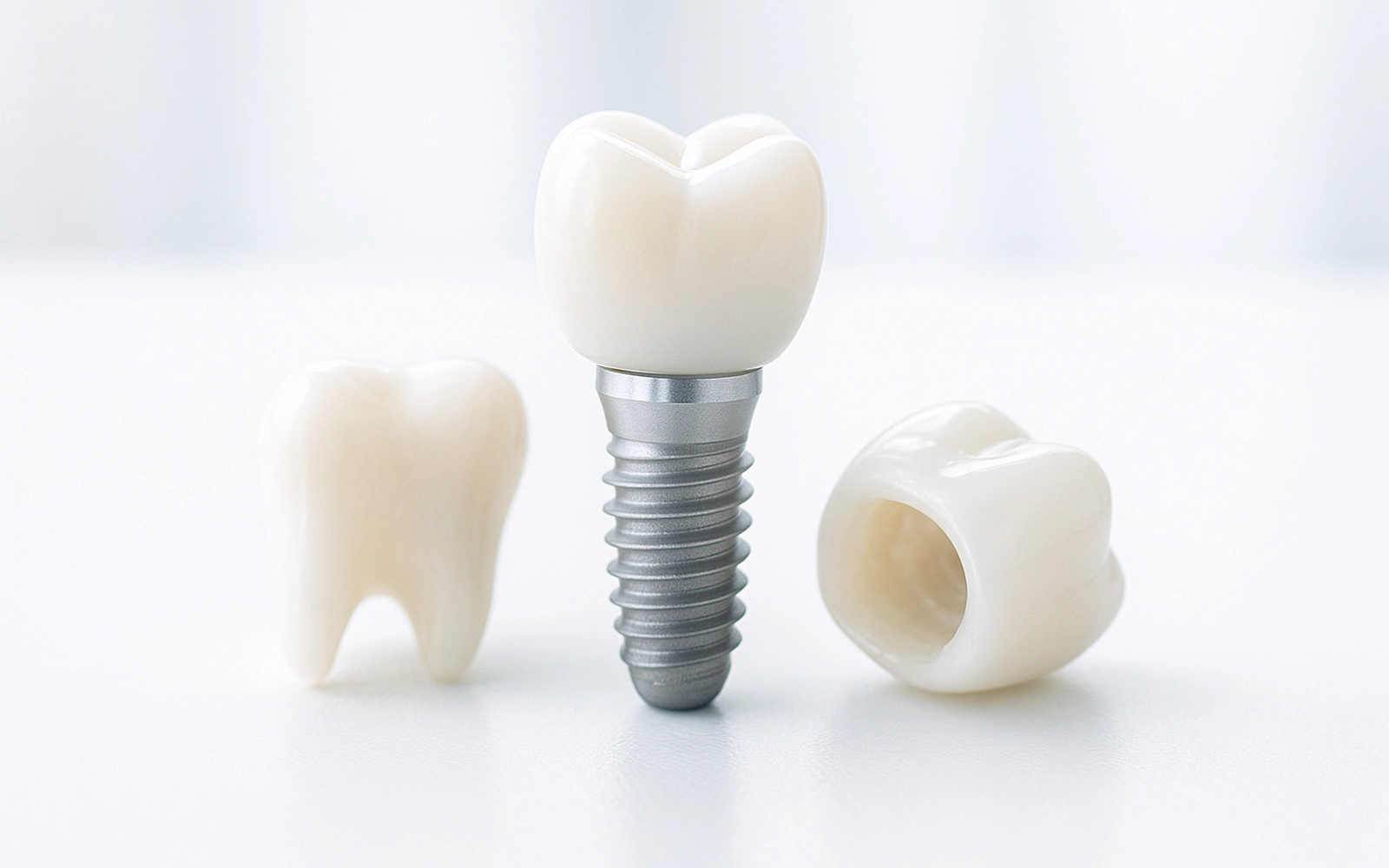 機能性：咀嚼効率と噛み合わせの完全な調和